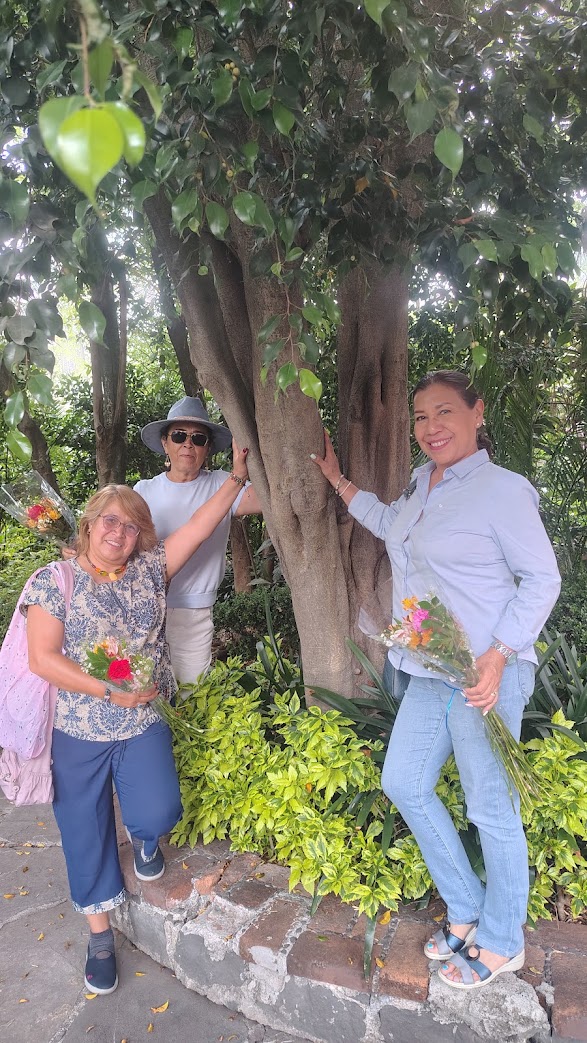 Ecotour San Ángel